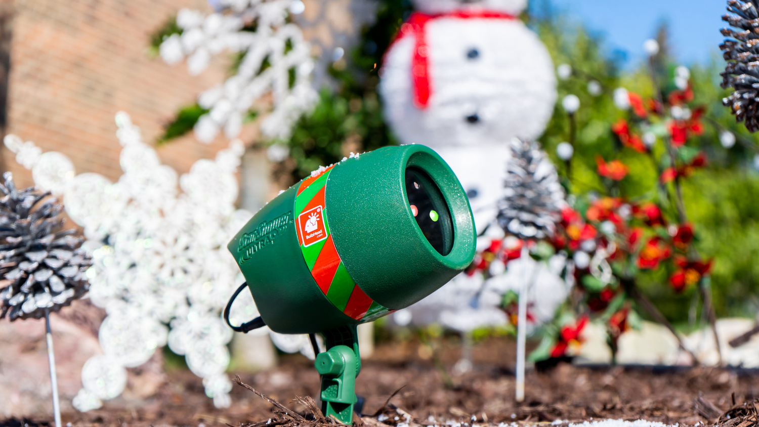 The Ultimate Guide to Choosing Outdoor Holiday Lights